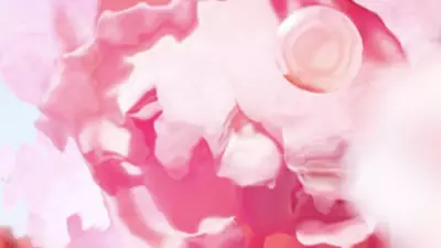 [vizual ingredient - decuparea florii de trandafir]