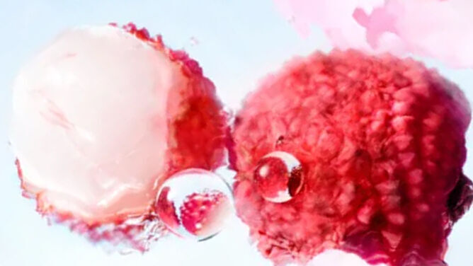 [vizual ingredient - decuparea pe litchi]