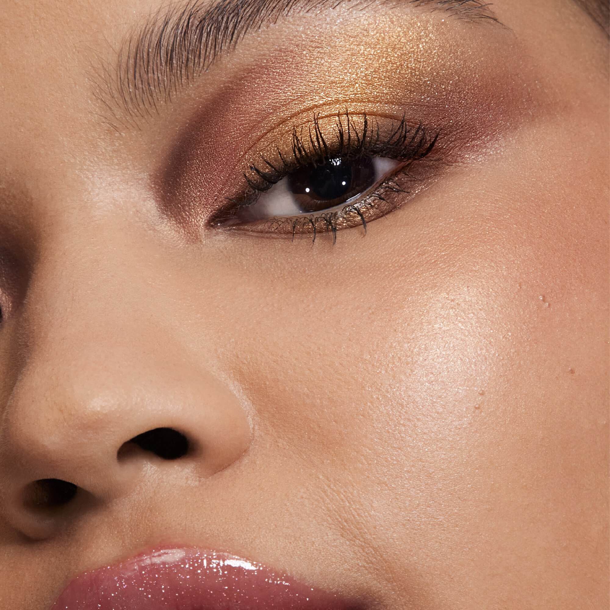 The Adventurous Palette