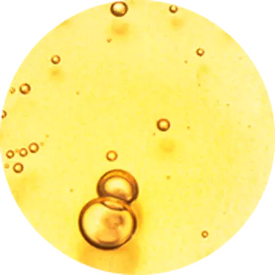 Vitamina E