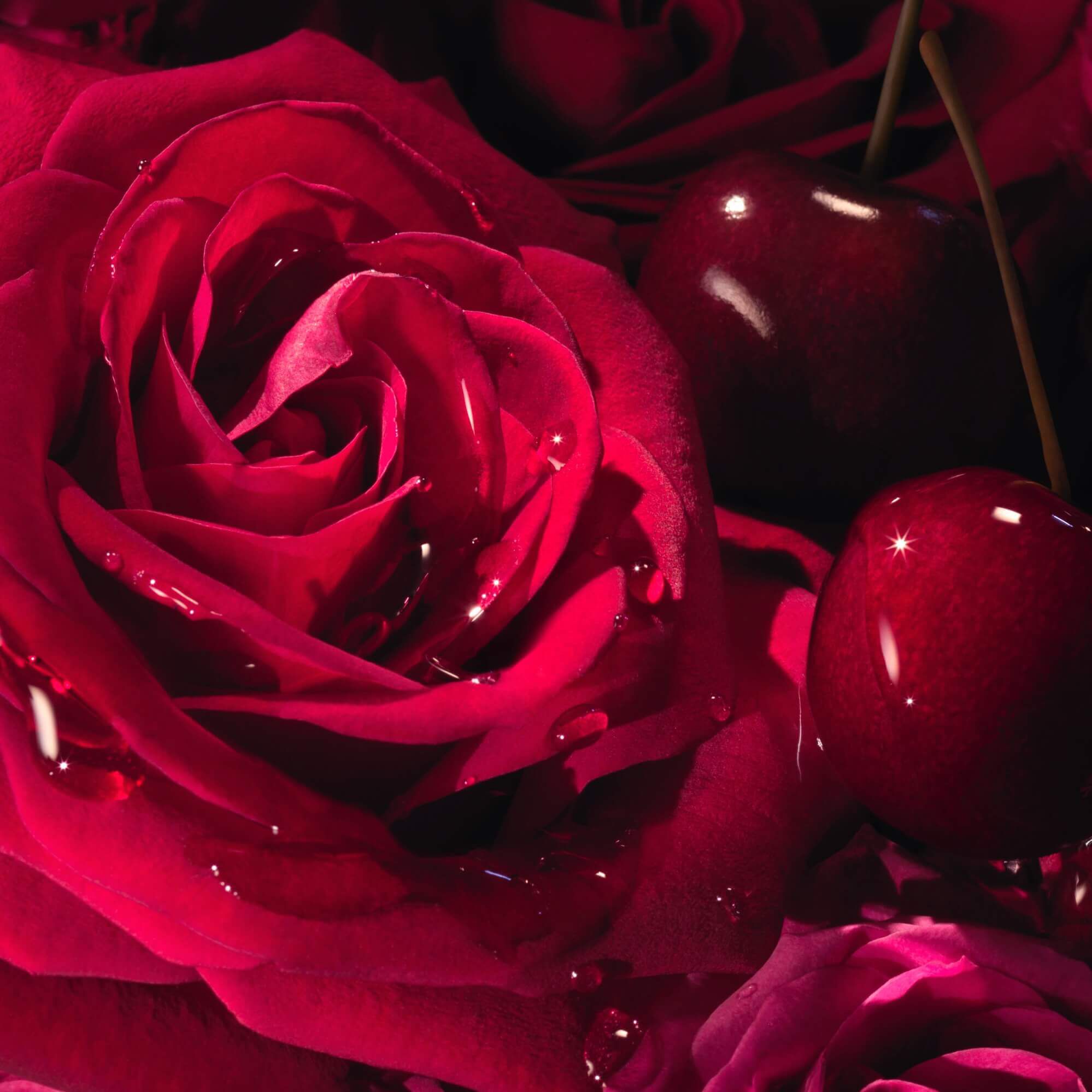 LA NUIT TRESOR LOVE CALENDAR