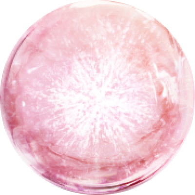 BISABOLOL BIOTEHNOLOGIC