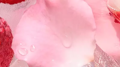 Ingredient vizual - decuparea petalelor de trandafir