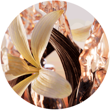 Floare delicată cu petale deschise, inconjurată de elemente translucide și texturi organice.