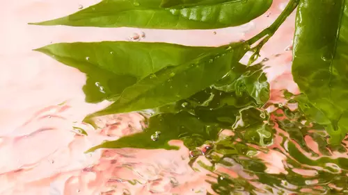 Vizual de frumusețe proaspăt pentru Lancome