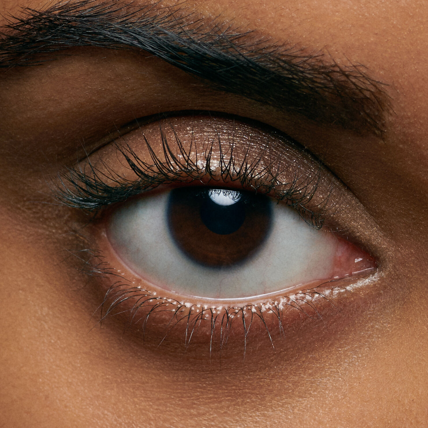Close-up of a human eye, showcasing the iris, eyelashes, and details of the eyelid. The eye appears to be brown with subtle highlights.
