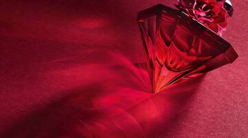 A luxurious red perfume bottle with a diamond-shaped cap casts a soft shadow of a rose on a deep red background.