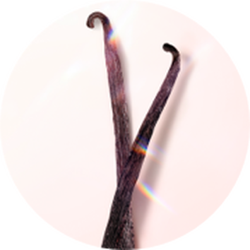 Două bete de vanilie aranjate in formă de V pe un fundal deschis, evidențiind textura bogată și culoarea.