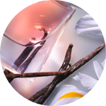 Sticlă de parfum cu nuanțe de vanilie, alături de flori albe și bețe de vanilie.