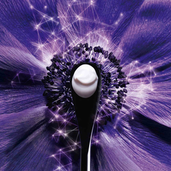 Linguriță intr-un prim-plan artistic, in centrul unei flori violet, simbolizand fuzionarea naturii cu inovația.