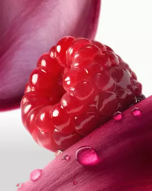 Ilustrație parfum fructat Lancome