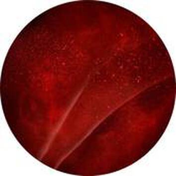 Textura unei suprafețe roșii, abstractă, cu nuanțe profunde și particule strălucitoare.