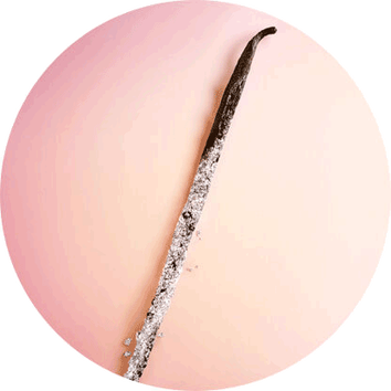 Băț de vanilie pe un fundal roz, cu cristale de zahăr strălucind pe suprafața sa.